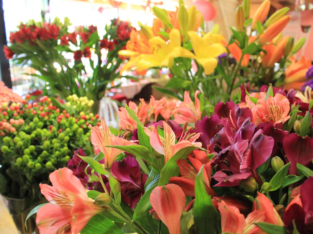 Schnittblumen kaufen für frischen Blumenstrauß aus 1120 Wien